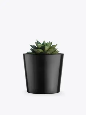 product-image-3_optimized