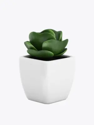 product-image-9_optimized